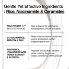 Rice 7 Ceramide Hydrating Barrier Serum 50ml