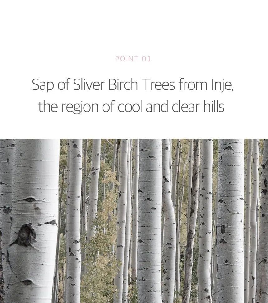 Birch Juice Moisturizing Tone Up Sunscreen