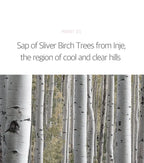 Birch Juice Moisturizing Tone Up Sunscreen